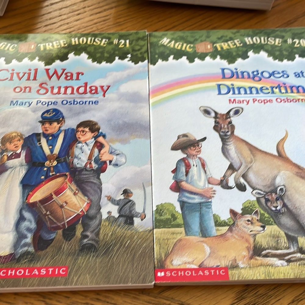 Magic Tree House Softcover Chapter Books #4 to #28 (25 books) NEW Condition - Picture 12 of 15